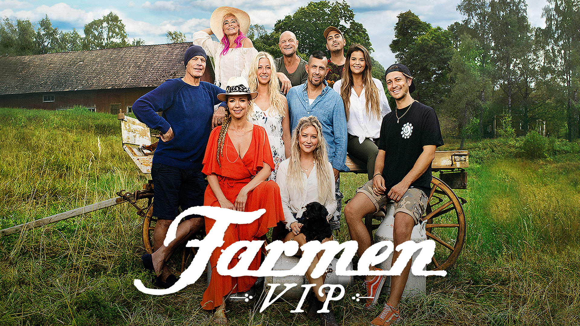 TV / FARMEN VIP 